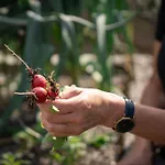 Fruehstueckspension Muellergut Vendégház