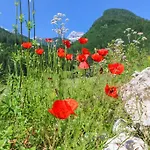 Vendégház Fruehstueckspension Muellergut