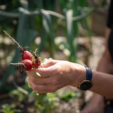 Fruehstueckspension Muellergut بيت ضيافة