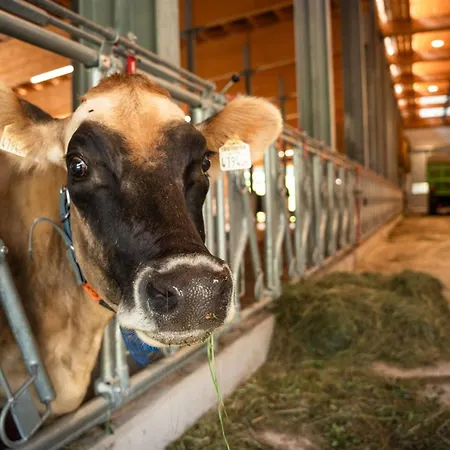 Gasthof Müllergut 3*