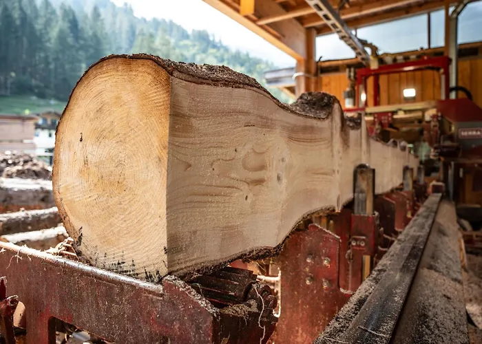 Fruehstueckspension Muellergut ゲストハウス ザンクト・マルティン・バイ・ローファー