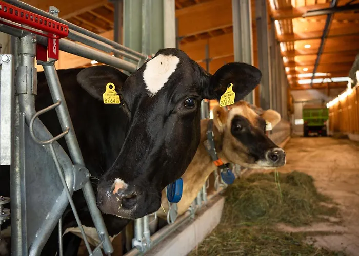 ゲストハウス Fruehstueckspension Muellergut